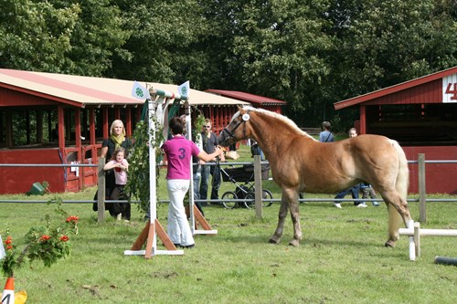Agility 1