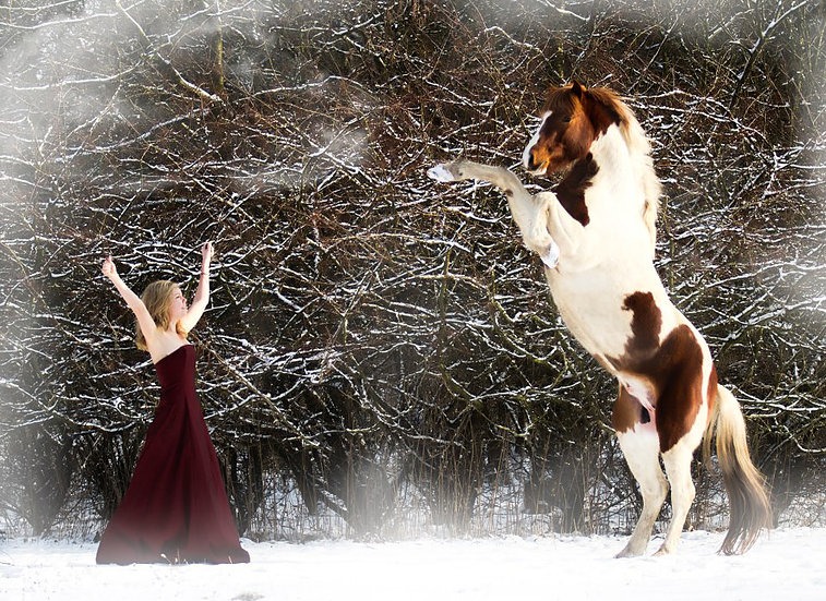 052Ffc 780356Bf743e47fe9fbcce57195ff6f0 5Bvvl1