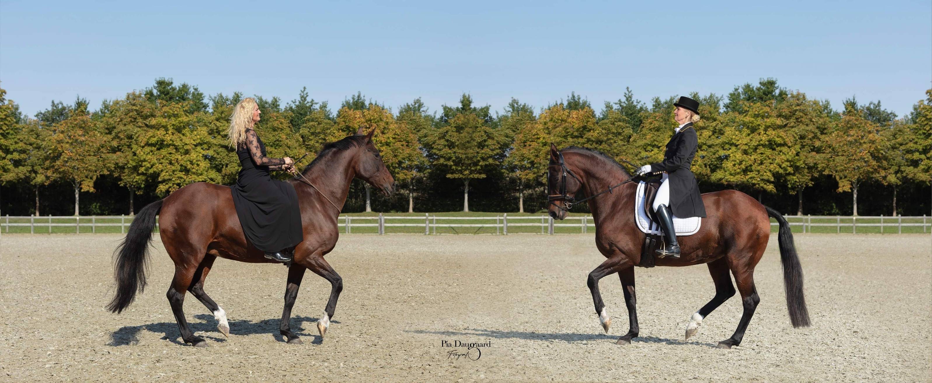 275283403 100710485910917 218272116365724616 N