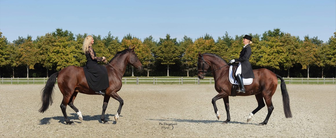 275283403 100710485910917 218272116365724616 N