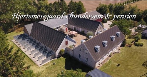 Hjortemosegaard1