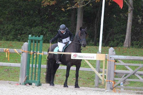 Trec1