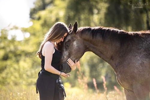 La Lune Horsetraining
