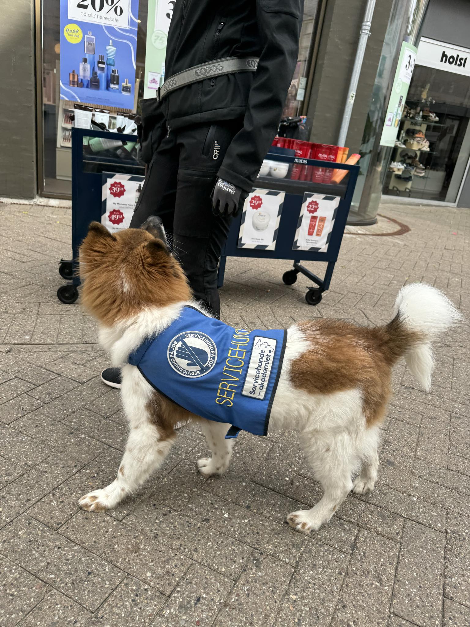 Messenger Creation 7848B5ef 3249 45Fc 9657 17D91d531d58