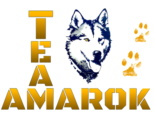 Amarok Hundetid Whitedog