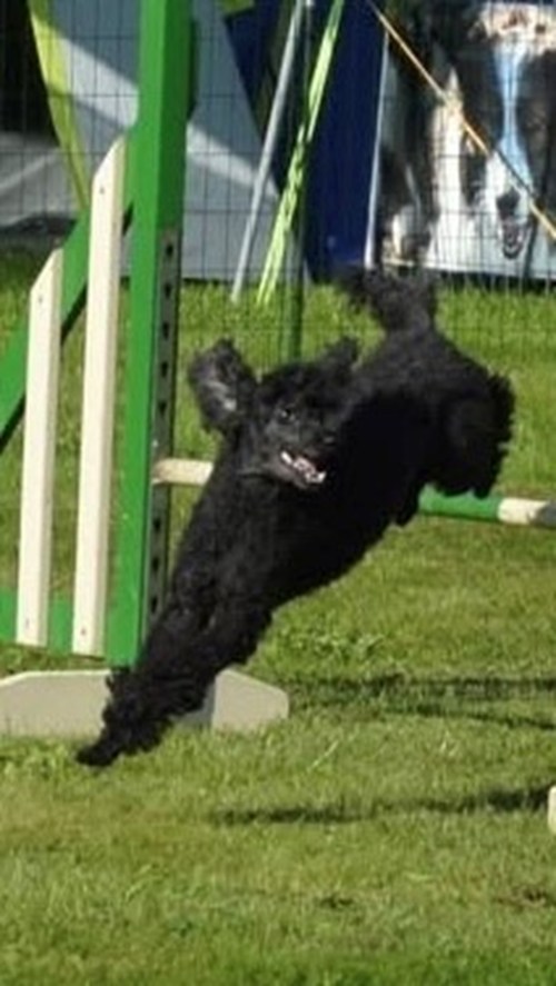 Agility