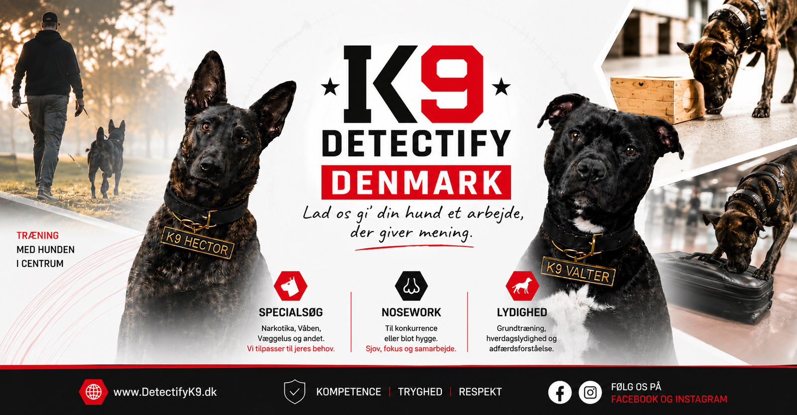 K9 Detectify